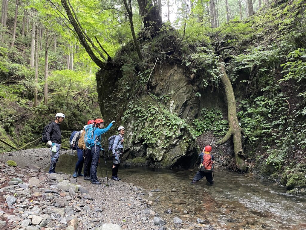 途中立ち止まりながらゆっくり歩く