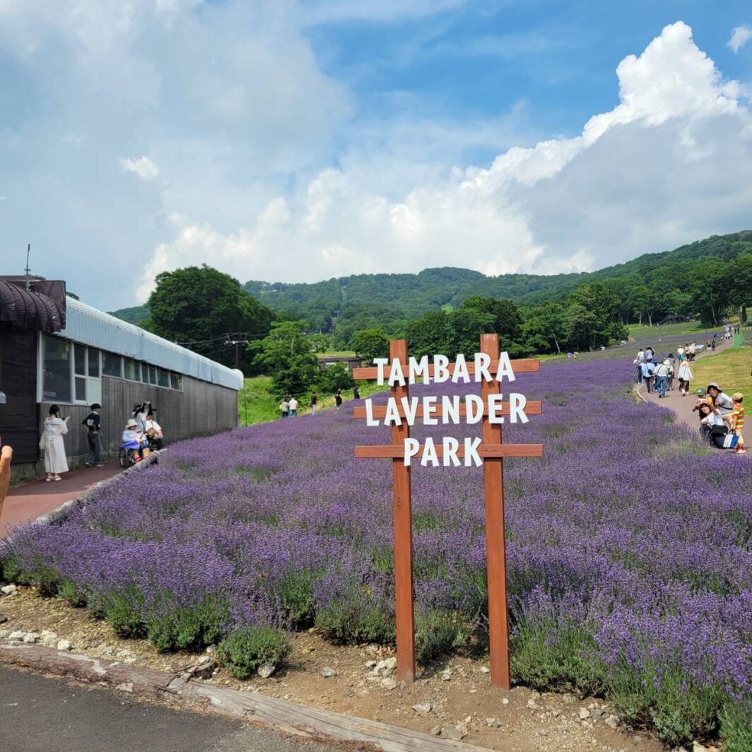 玉原高原ラベンダーパーク