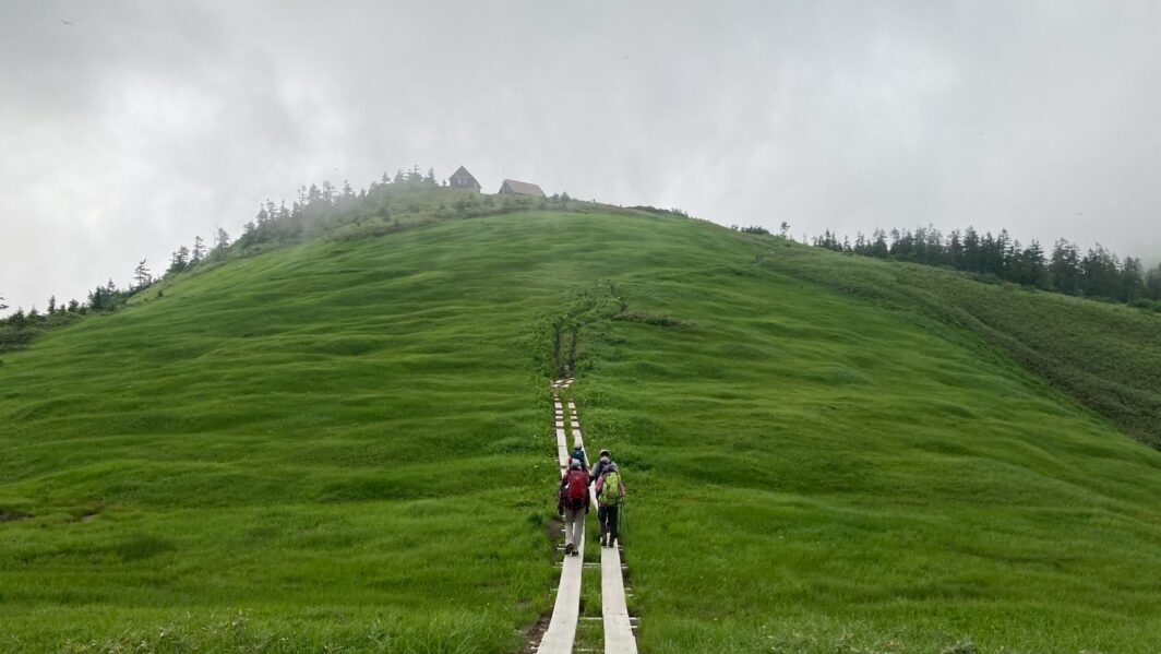 駒の小屋への木道