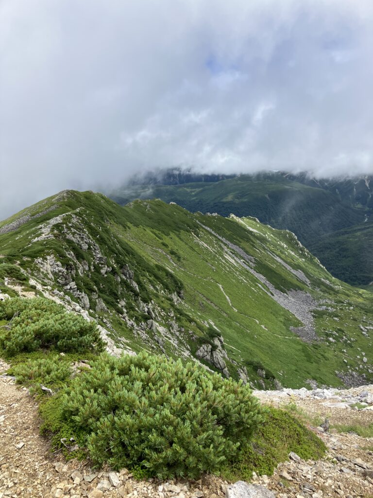 黒田五郎の肩からの眺め　(撮影:manul) 　