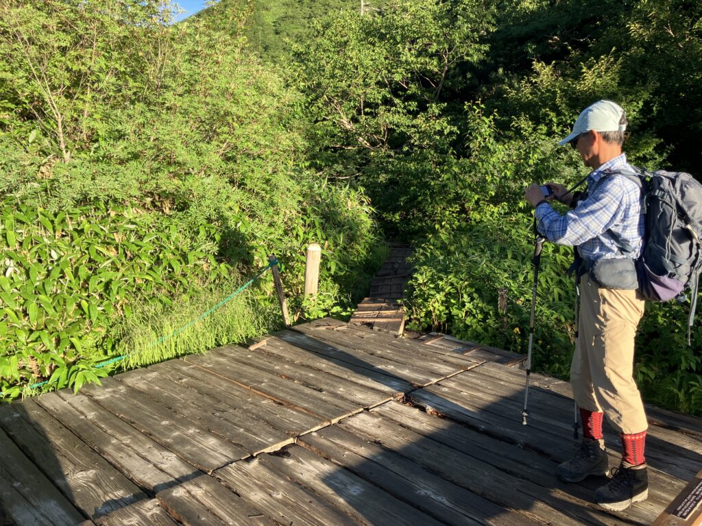 鏡池でオコジョ現る！画面中央見つかるかな⁈　(撮影:manul) 　