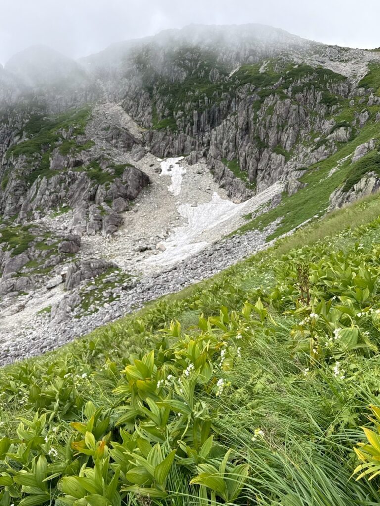 黒部五郎カール　 (撮影: Hammnerhead)