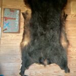 自炊部屋壁にはクマの毛皮が！