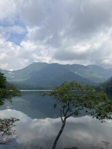 戦場ヶ原の眺め　(撮影:manul) 　