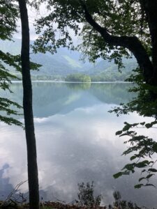 湯ノ湖畔の眺め　(撮影:manul) 　