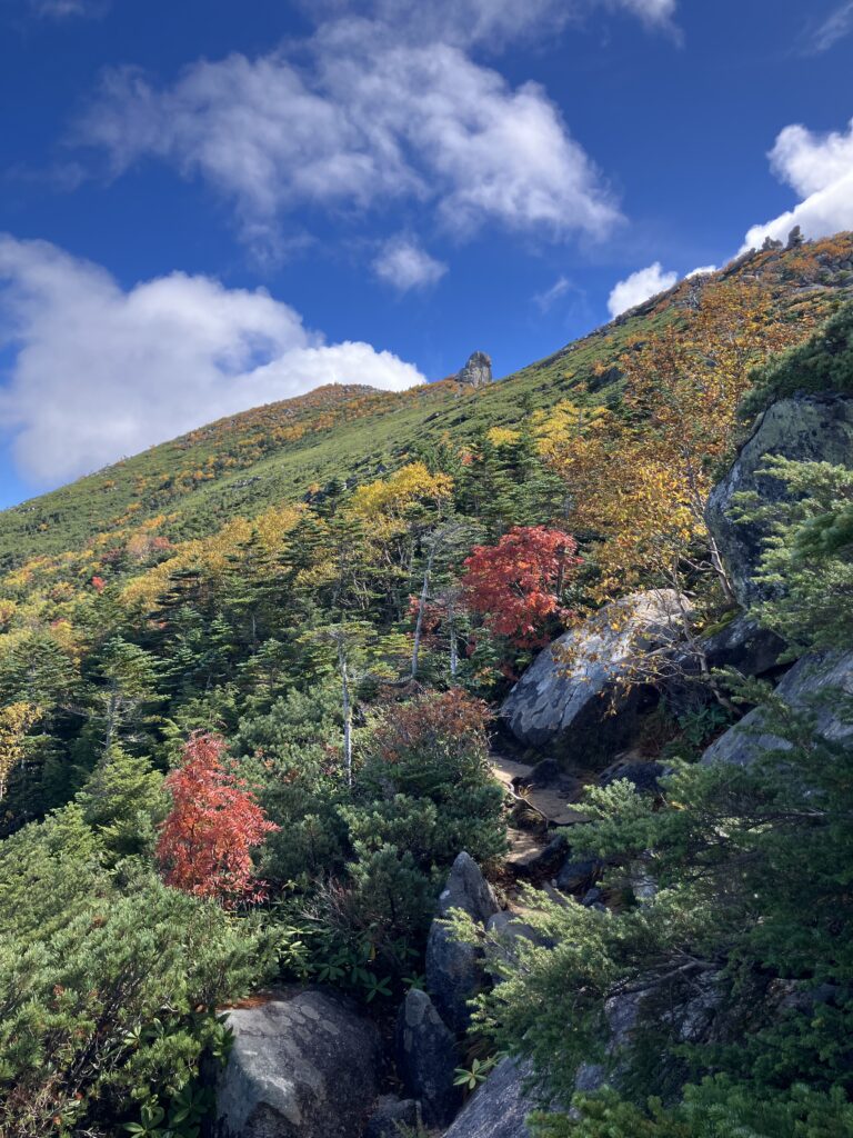 金峰山の紅葉2　 (撮影:manul) 　