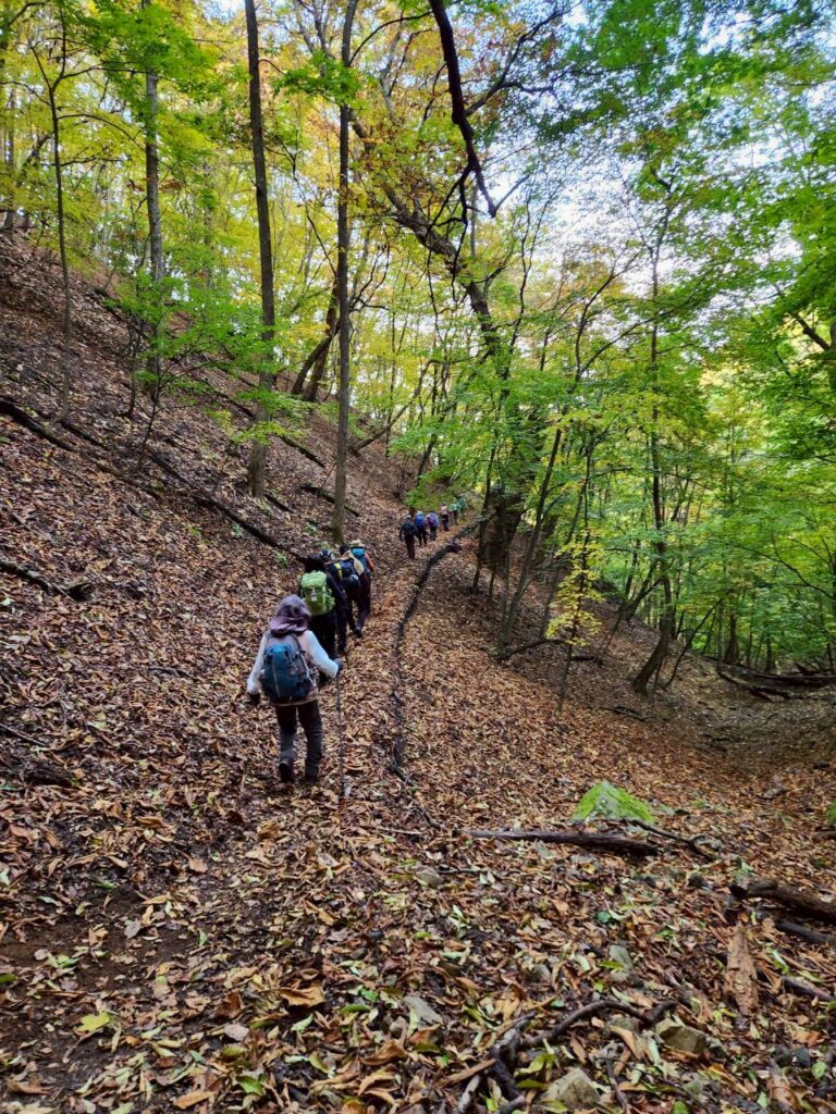 小菅の湯に向け下山開始(撮影tantan)