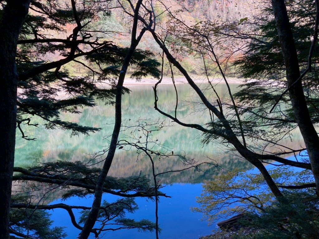 撮影（watanabemati）