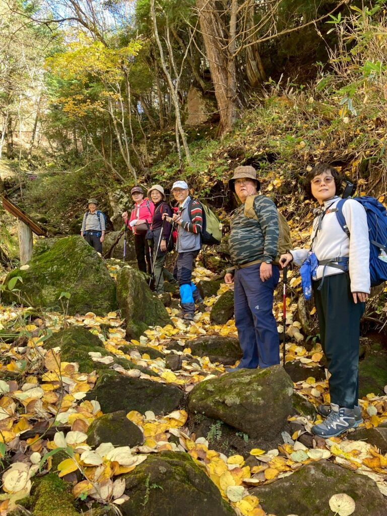 撮影（watanabemati）