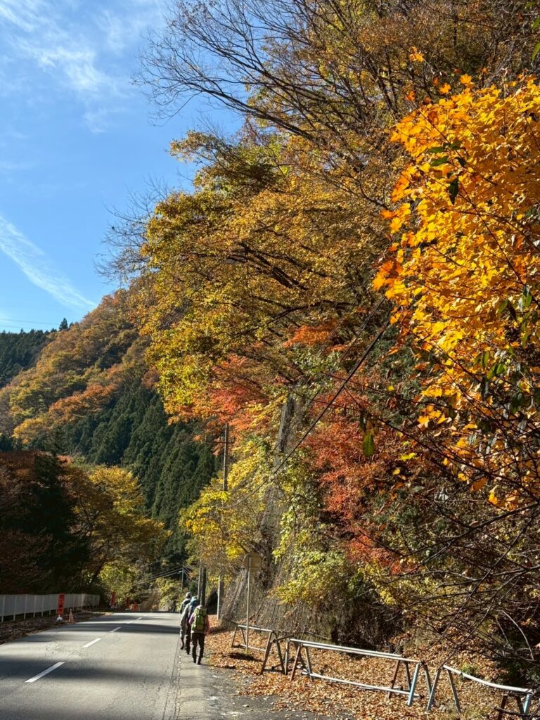 紅葉を味わいながら歩く(撮影:osugi) 　