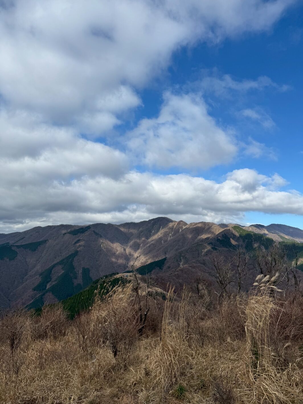三ノ塔からの眺め(撮影: ナベノ)