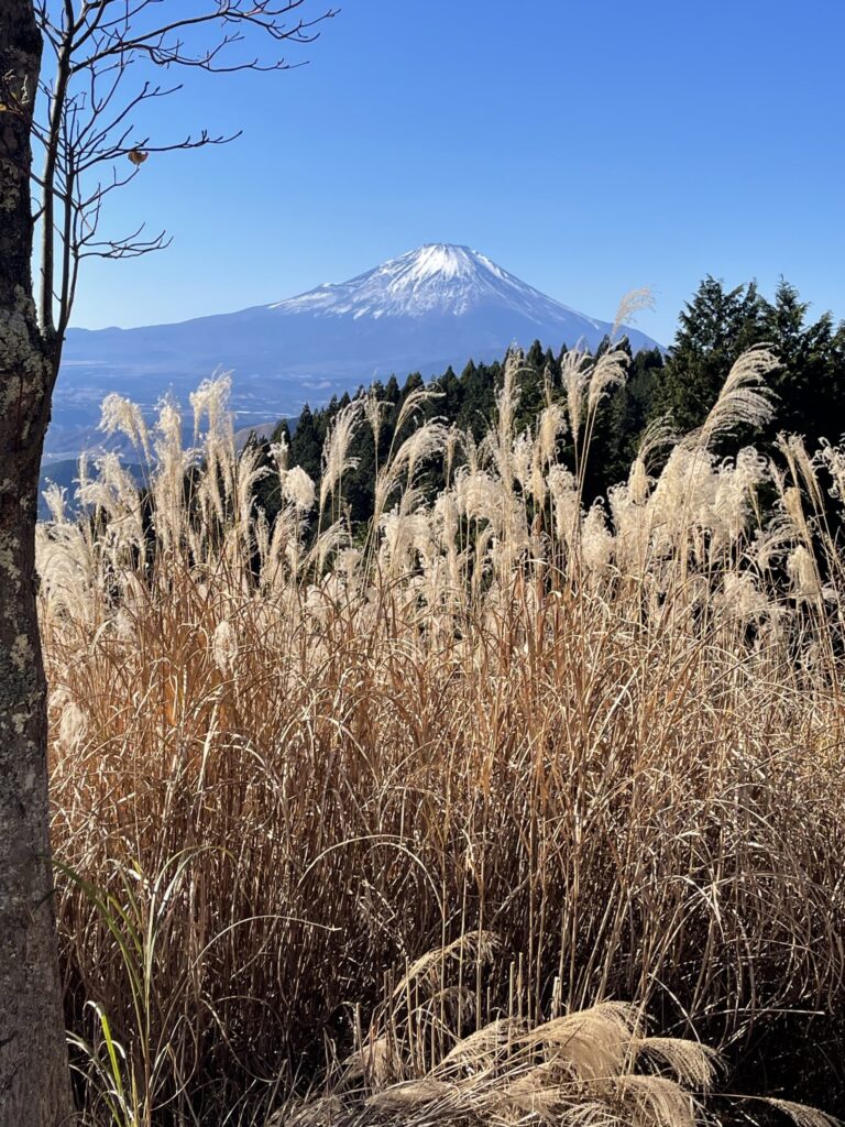 高松山山頂から眺めた富士山（撮影ムーミン）