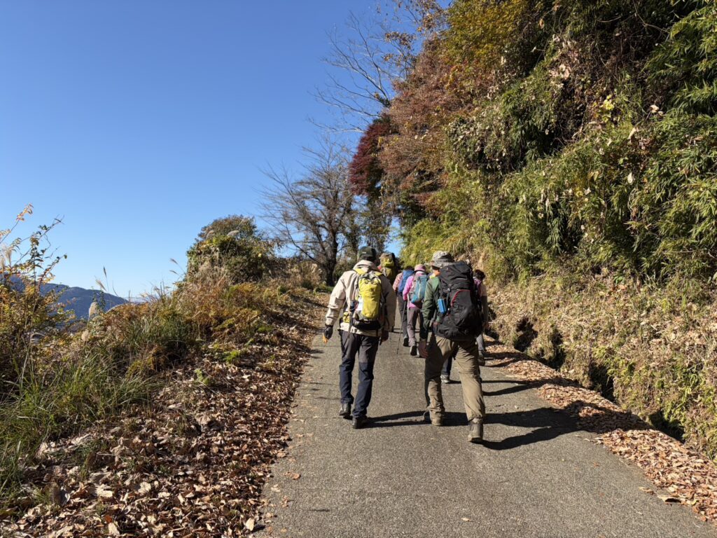 舗装道路を懸命に歩く（撮影senchan）