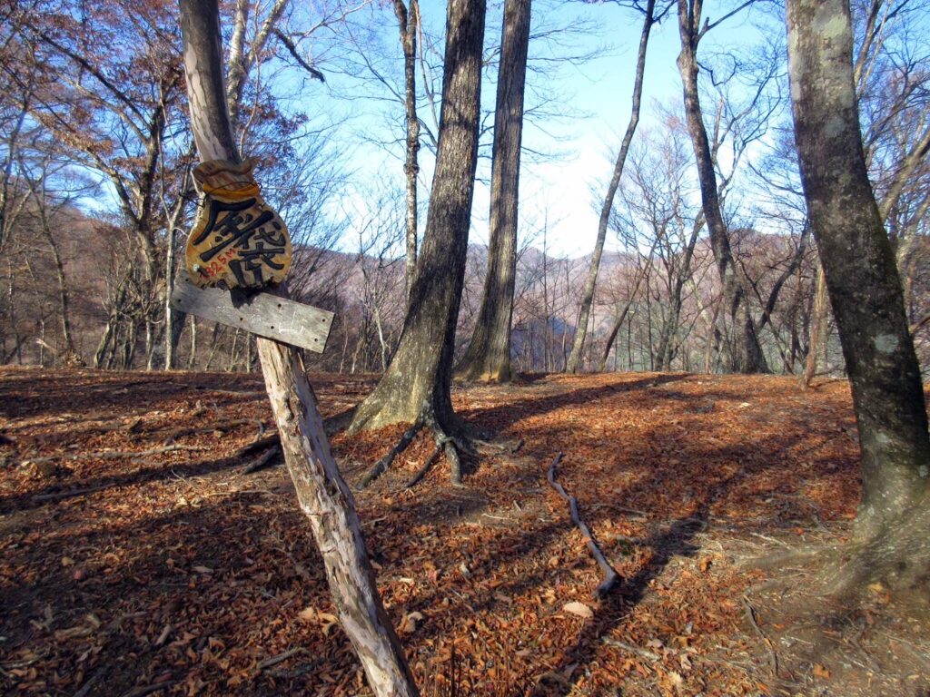 金袋山山頂　(撮影:shun) 