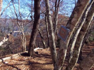 一石山山頂　 (撮影:shun)