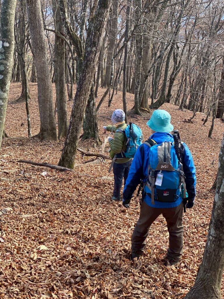 落ち葉積もる道なき道を下る(撮影: moru