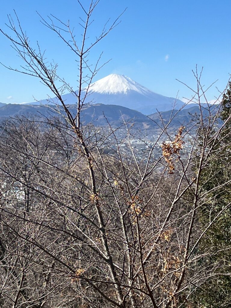 権現山からの富士山（撮影純子）
