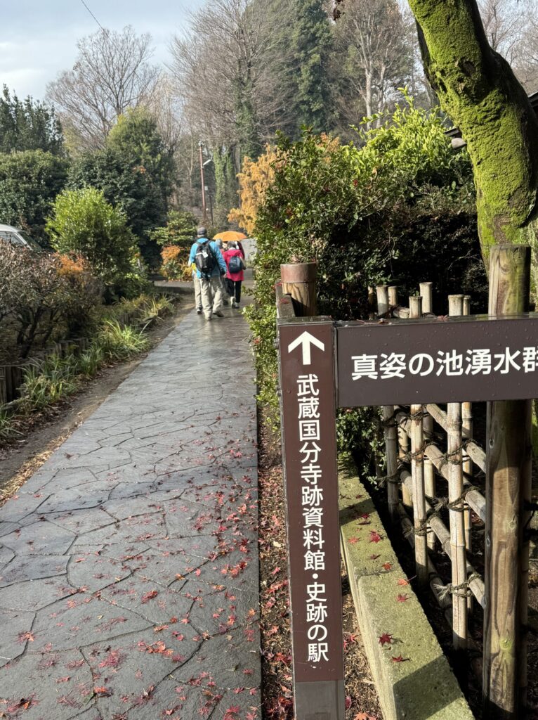 真姿の池湧水群（撮影HammerHead）