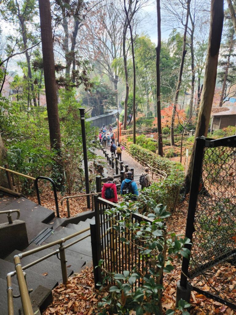 階段を下るとおたかの道湧水園に着く（撮影tantan）