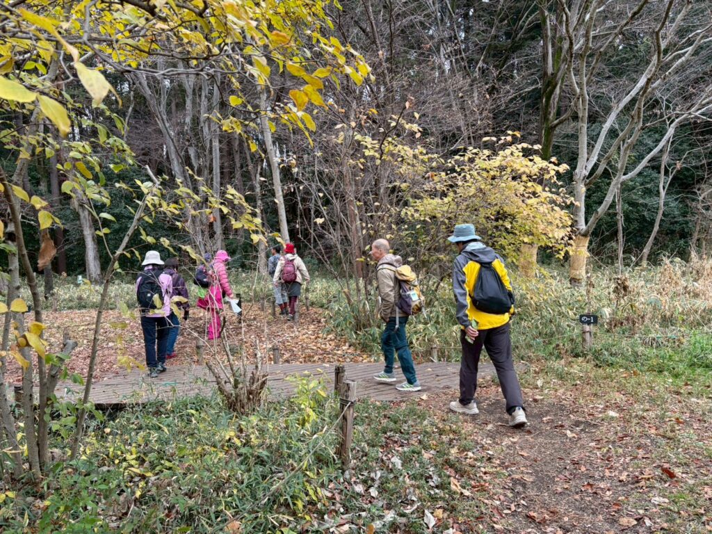 野川公園自然探求路散策（撮影senchan）