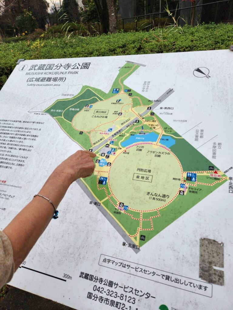 武蔵国分寺公園の案内版（撮影tantan）