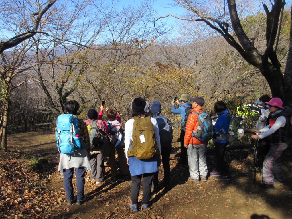 ロウバイの撮影？（撮影syun）