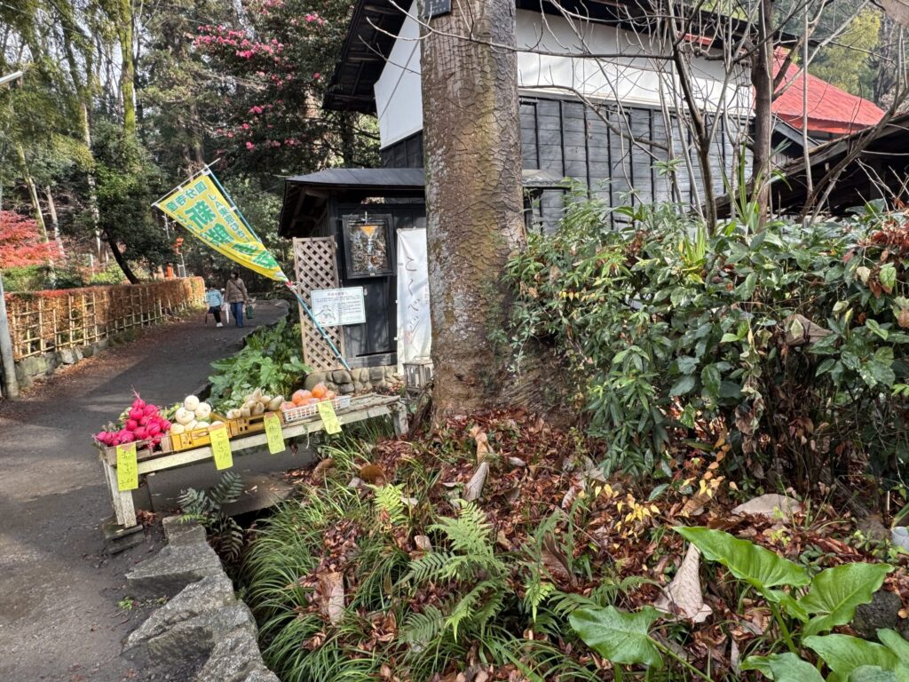 お鷹の道沿えには新鮮な野菜など販売している（撮影Hammerhead）