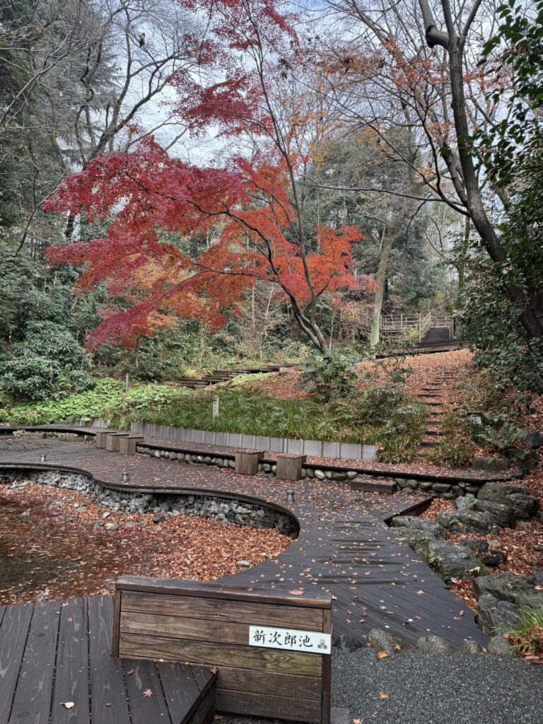 東経の森新次郎池（撮影ナベノ）