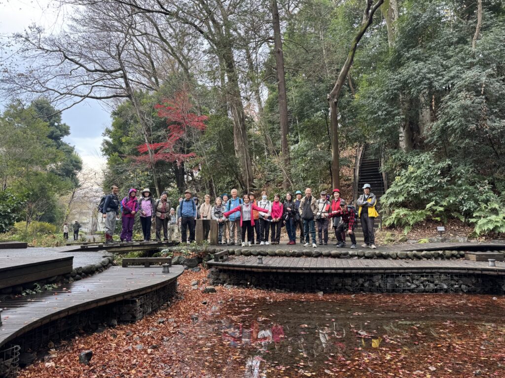東経の森の奥から湧水が流れ出ている（撮影HamerHead)