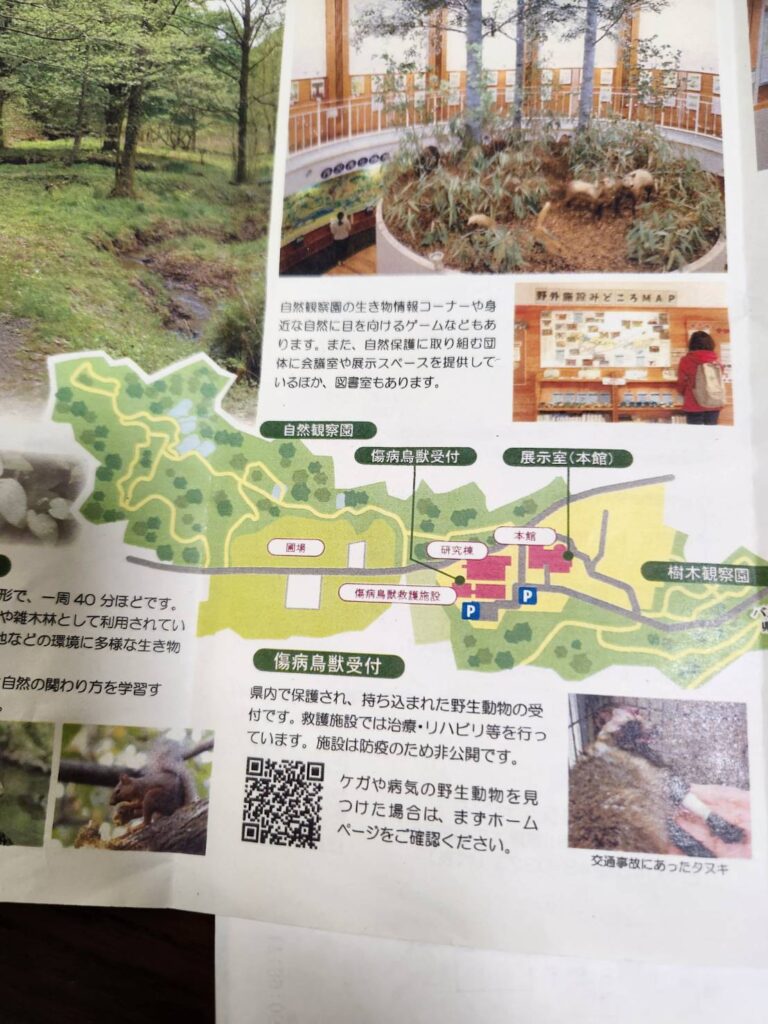 自然環境保全センターの案内図(撮影tantan)