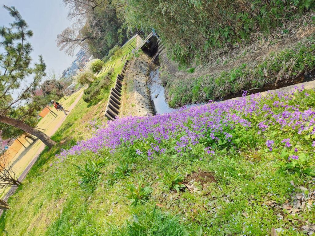 飛森谷戸(とんもりやと)と、(撮影tantan)とんもり川